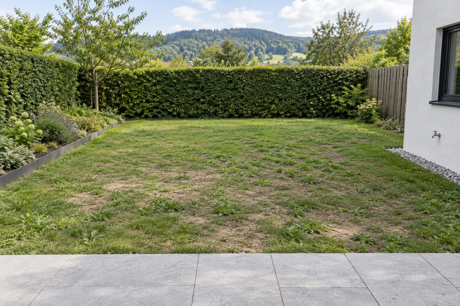 Lückiger Gartenrasen mit kahlen Bodenstellen